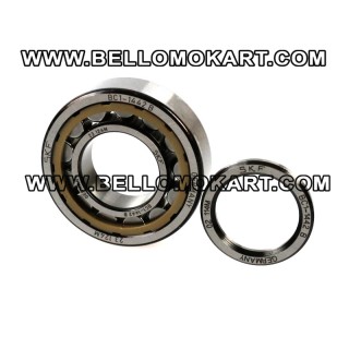 Cuscinetti a rulli SKF BC1 - 1442 B