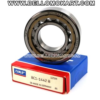 Cuscinetti a rulli SKF BC1 - 1442 B