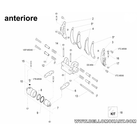 parapolvere EPDM 24  pinza CX  anteriore birel