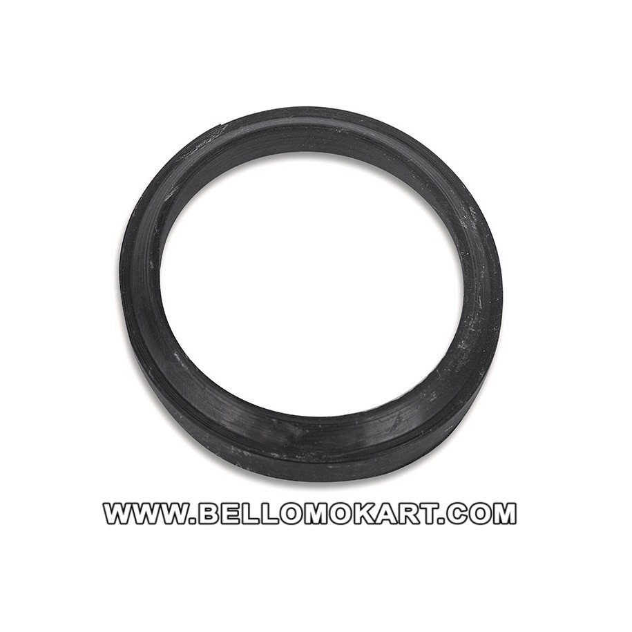 parapolvere EPDM 24  pinza CX  anteriore birel