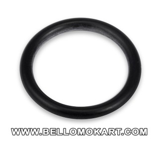 parapolvere EPDM 24  pinza CX  anteriore birel