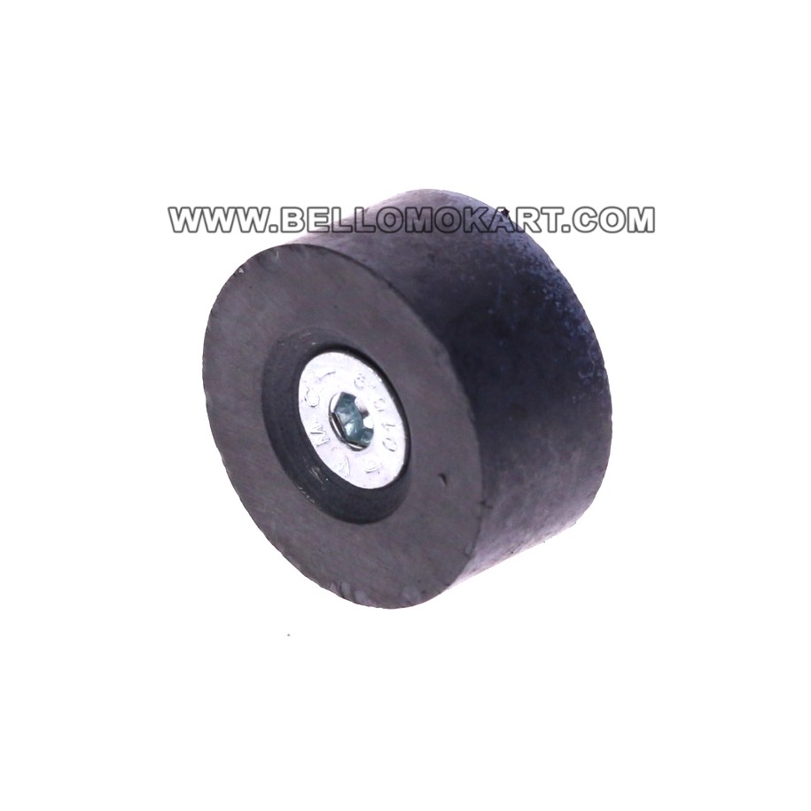 Magnete pistoncino con vite  pinza freno post. OTK BSD / BS5 / SA2