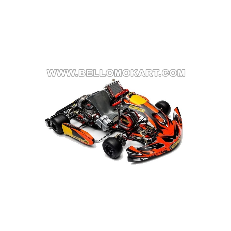 Kit adesivi CRG 507 / 508 completo