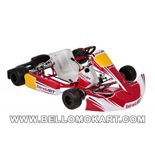 Kit adesivi Birel Art 2021 completi