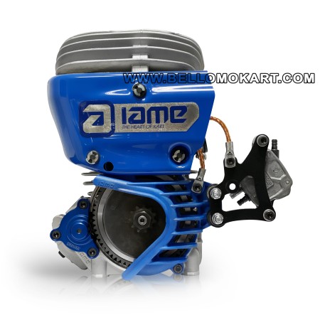 motore iame GR-3 mini cik 20